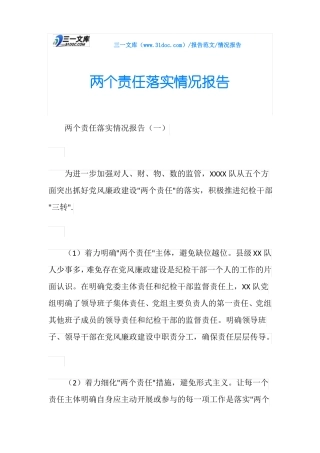 情况报告两个责任落实情况报告