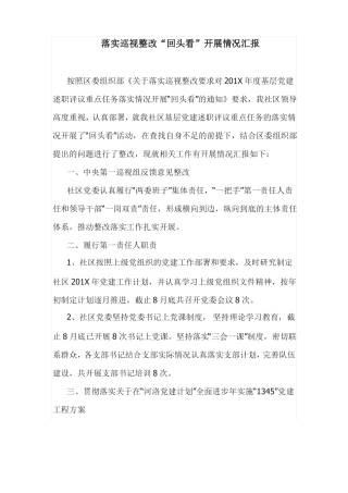 情况汇报：落实巡视整改回头看开展情况汇报