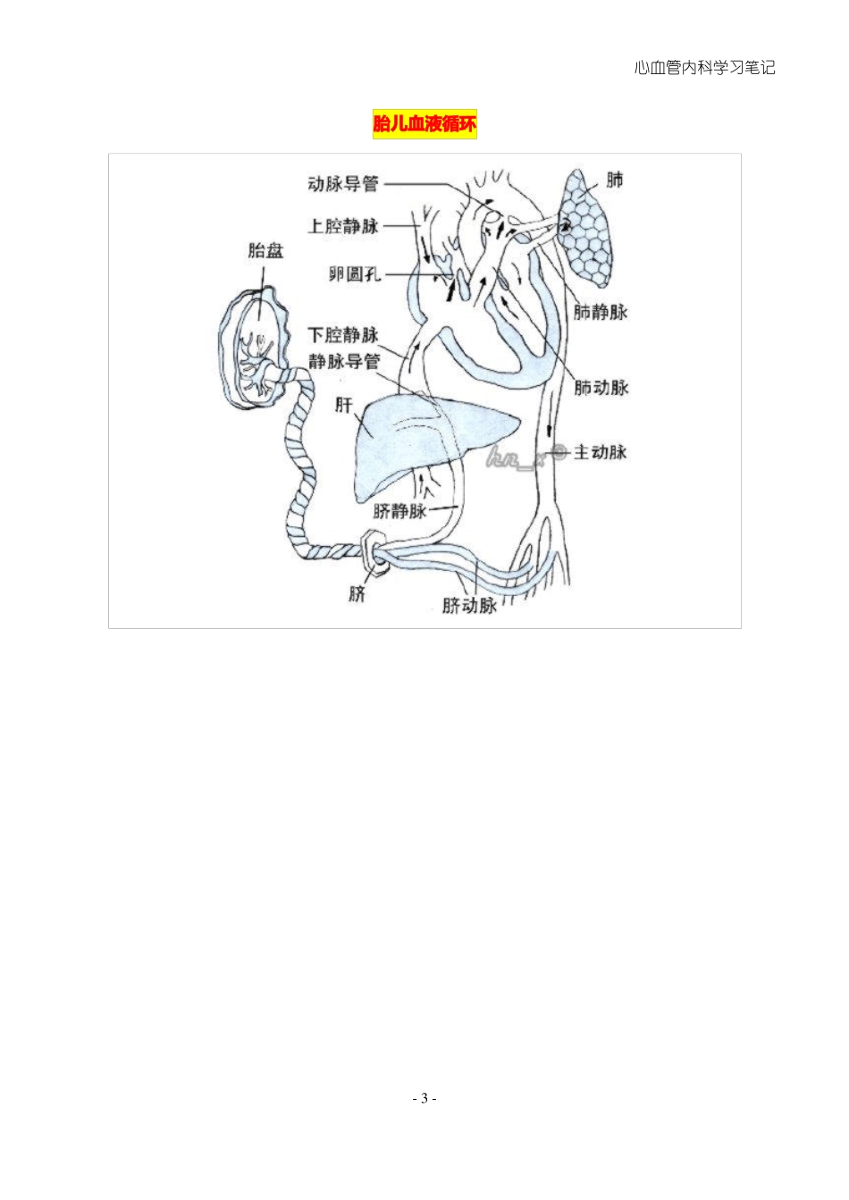 成人先天性心脏病_第3页