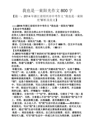 我也是一束阳光作文800字