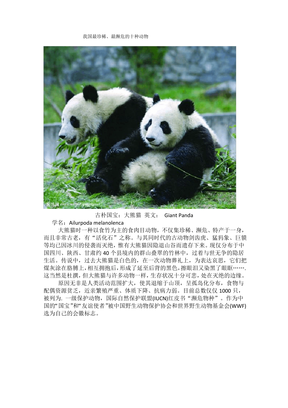 我国最珍稀、最濒危的十种动物_第1页