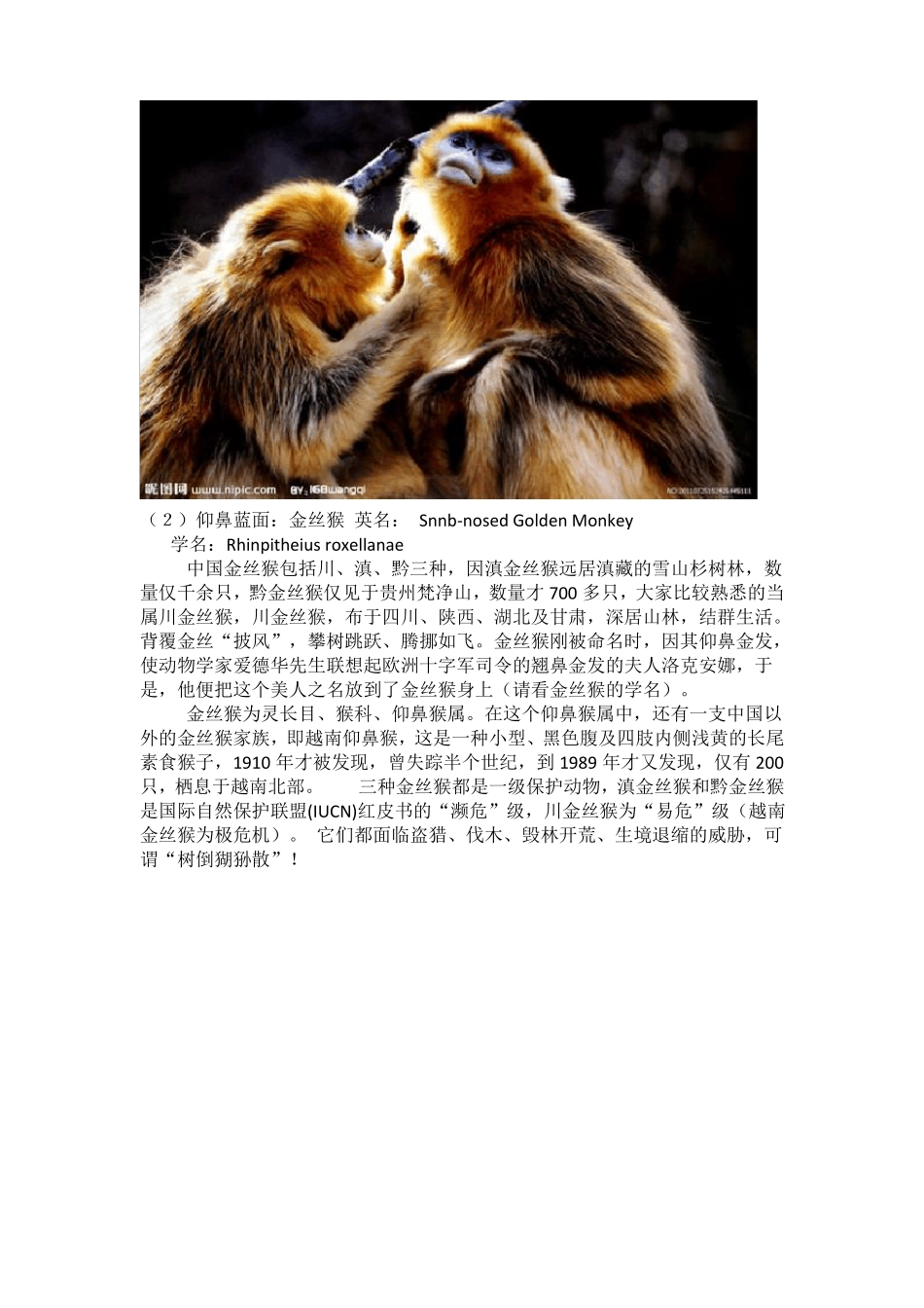 我国最珍稀、最濒危的十种动物_第2页