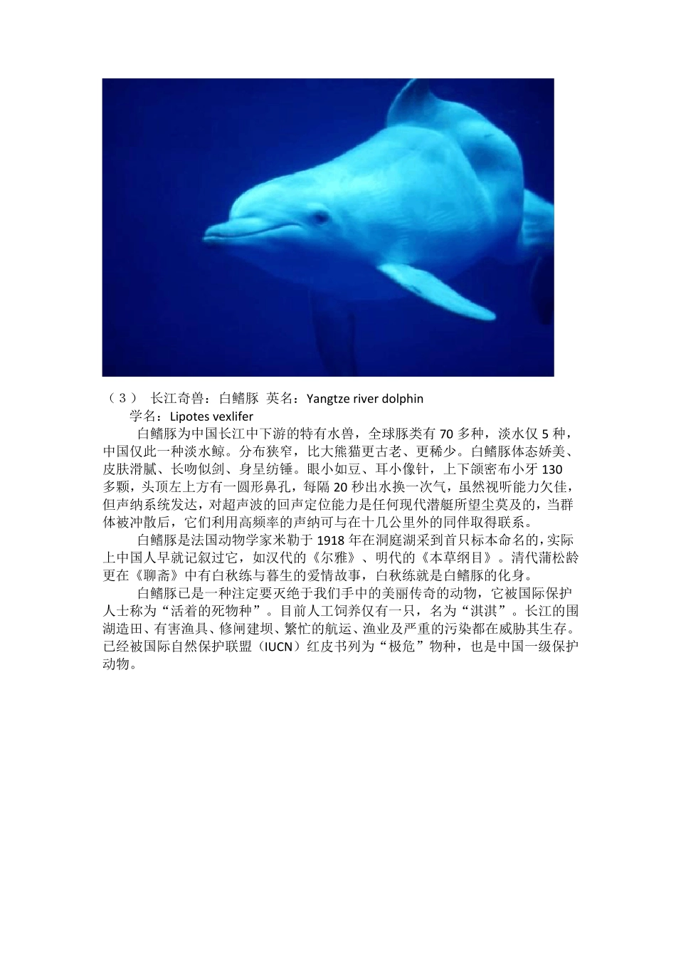 我国最珍稀、最濒危的十种动物_第3页