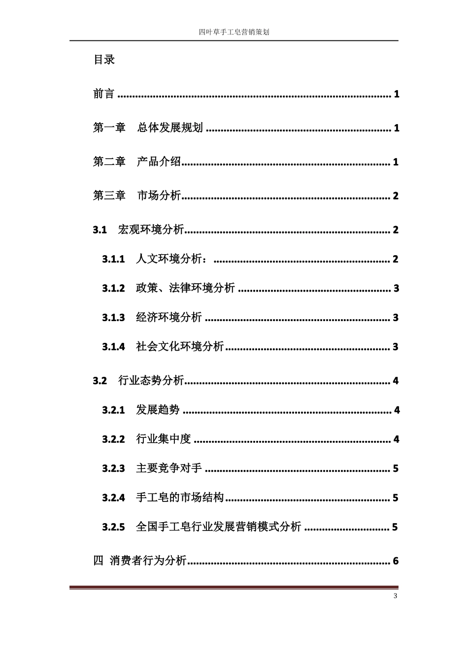 手工皂策划方案_第3页