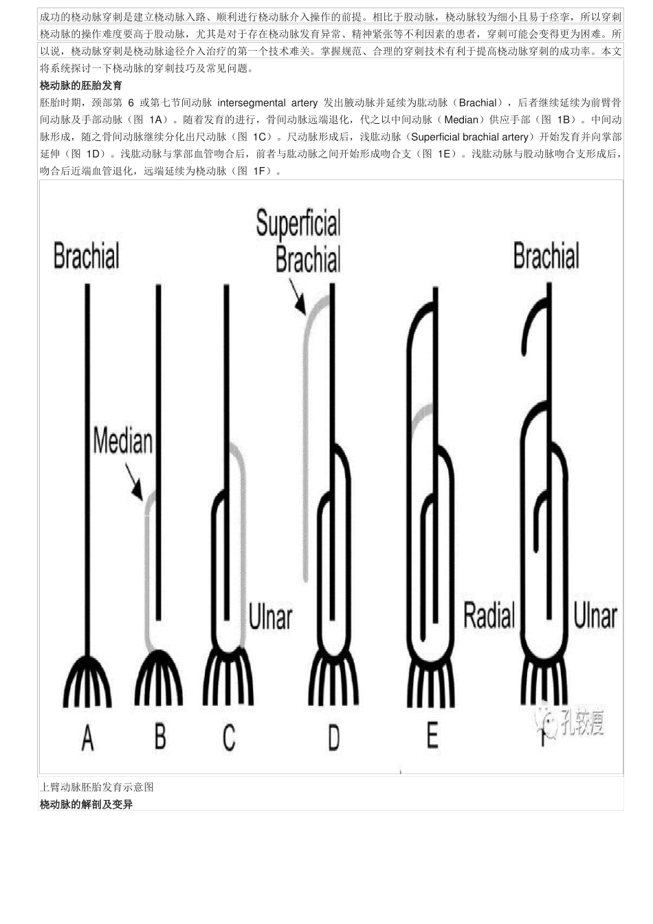 手把手教你桡动脉穿刺技巧精美图文_第1页