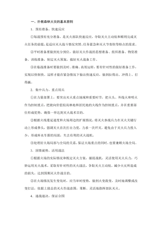 扑救森林火灾注意事项