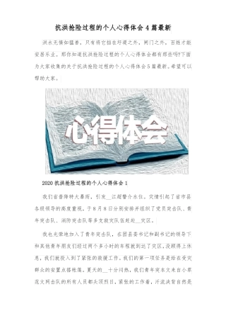 抗洪抢险过程的个人心得体会4篇最新