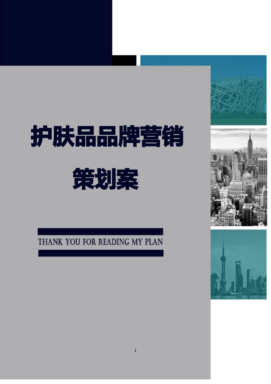 护肤品品牌营销策划案_第1页