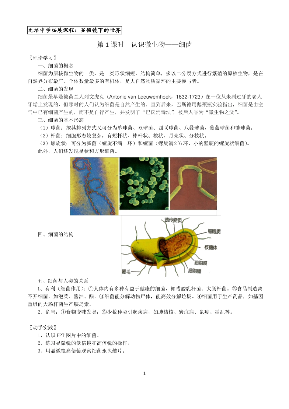 拓展课教案显微镜下的世界_第1页