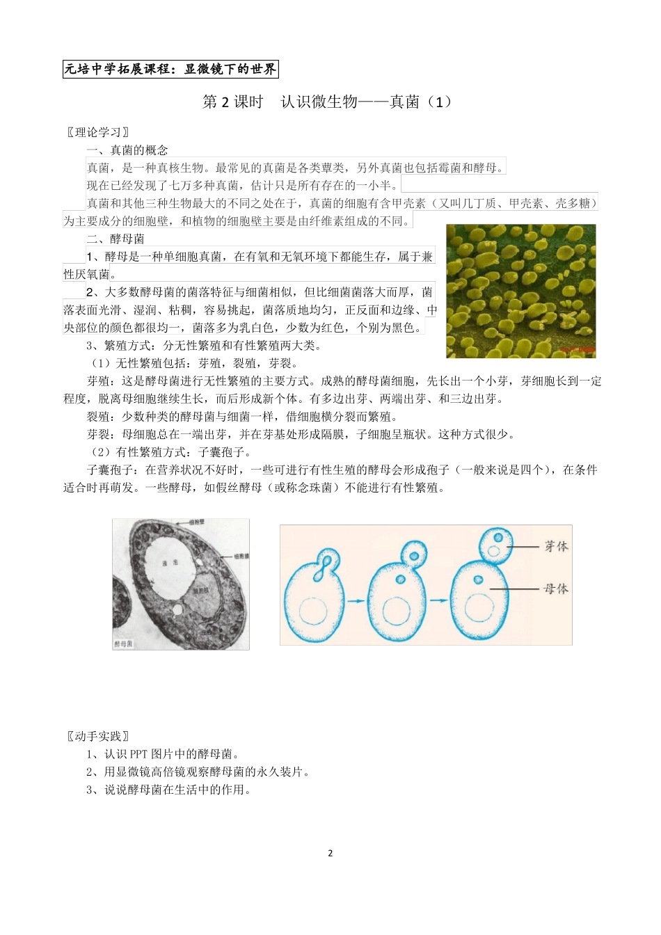 拓展课教案显微镜下的世界_第2页