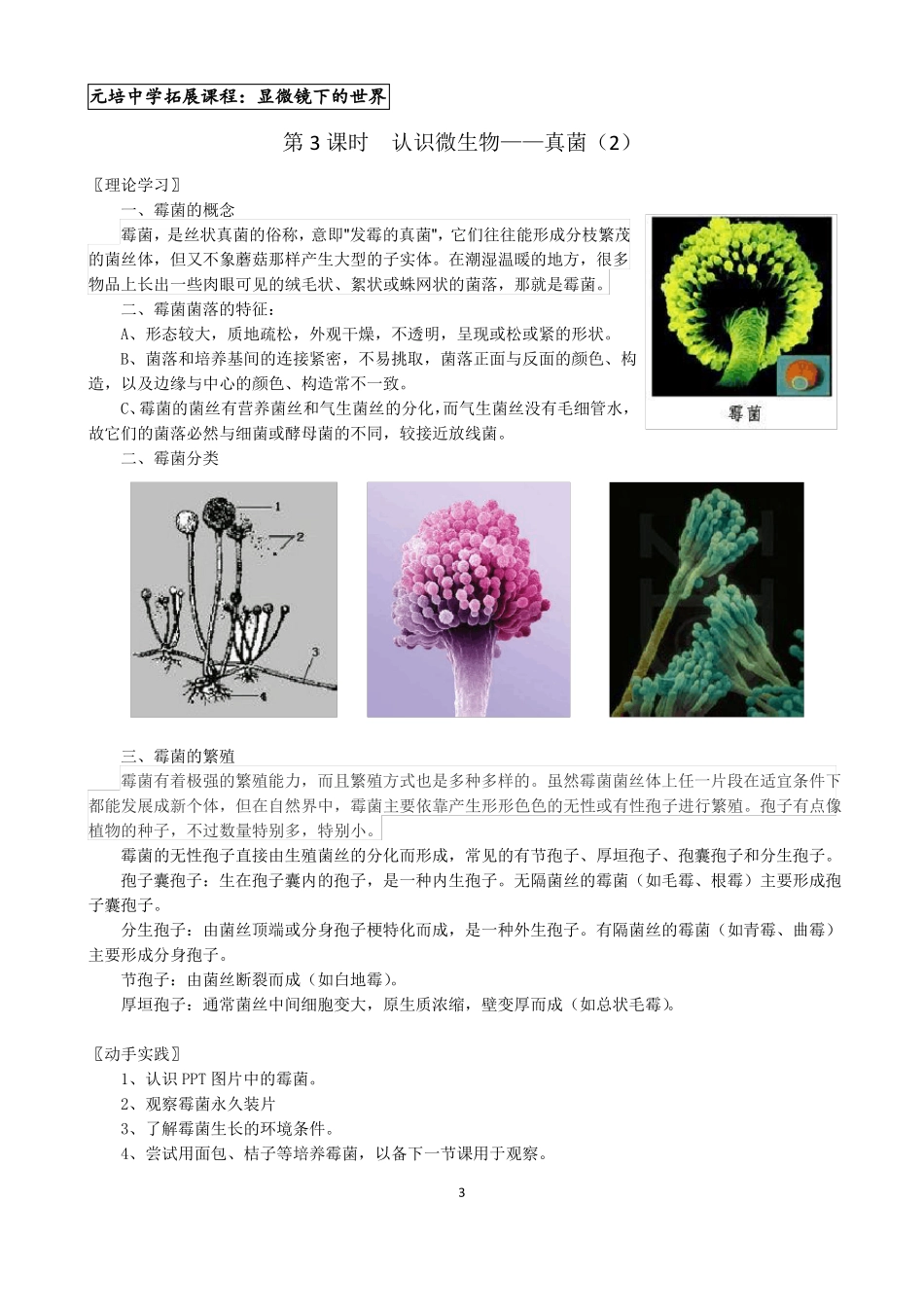 拓展课教案显微镜下的世界_第3页