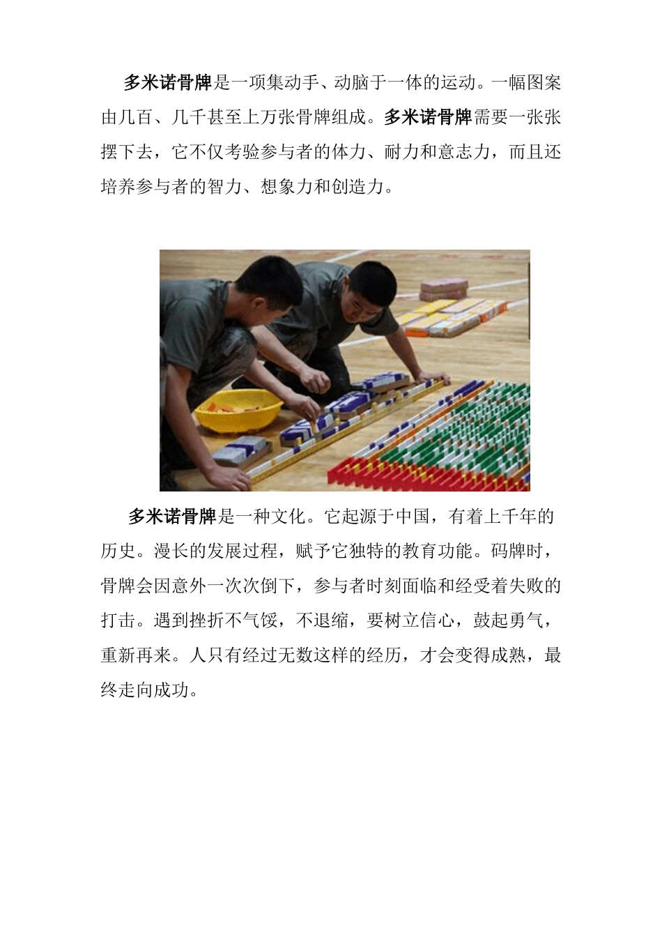 拓展项目---室内拓展多米诺骨牌_第2页