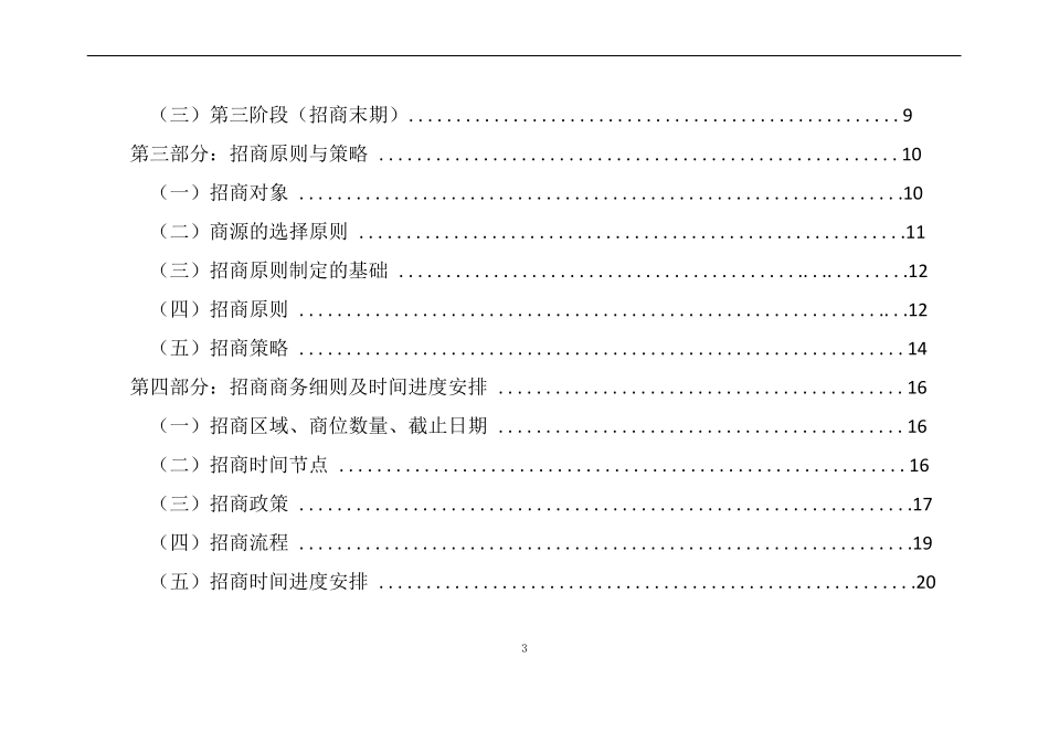 招商执行计划方案_第3页