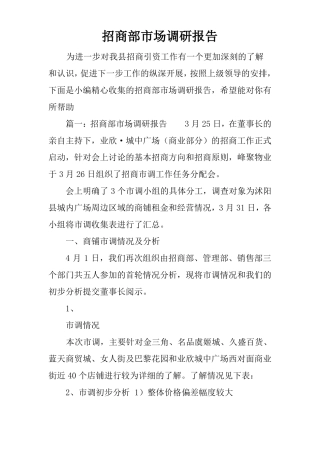 招商部场调研报告