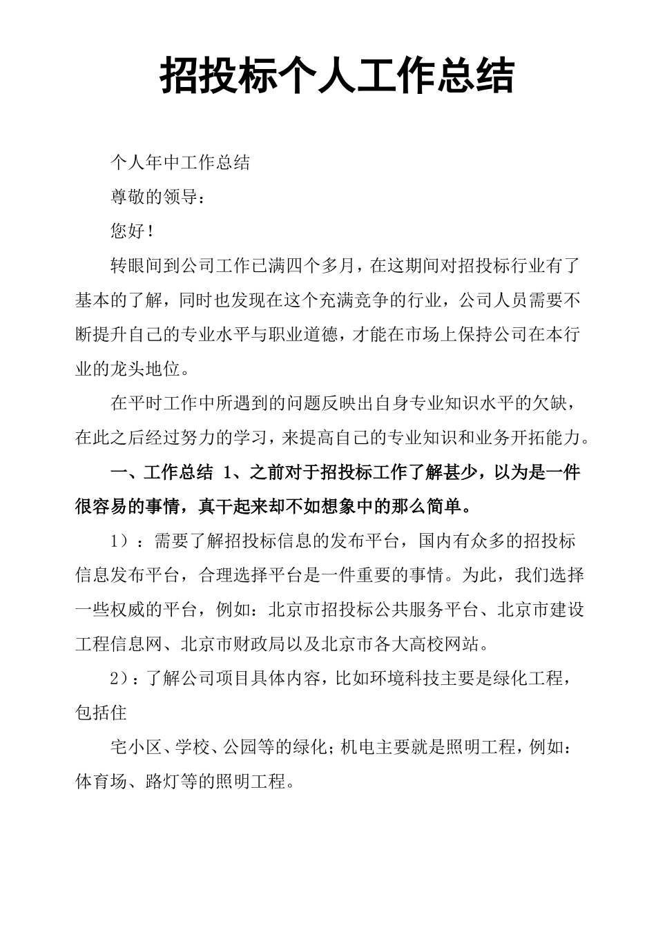 招投标个人工作总结_第1页