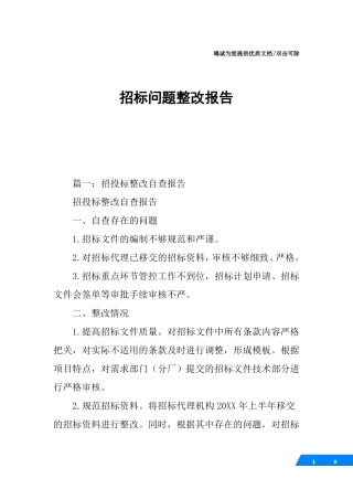 招标问题整改报告