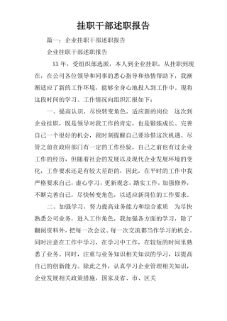 挂职干部述职报告