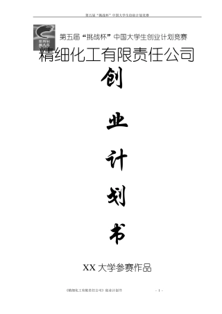 挑战杯大学生创业大赛获奖作品