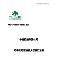 控股母子公司重大权责划分表