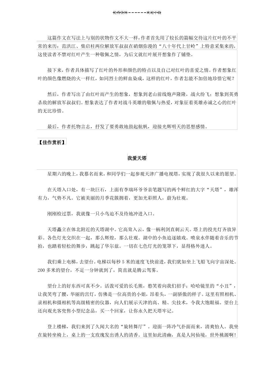 描写事物的作文_第3页