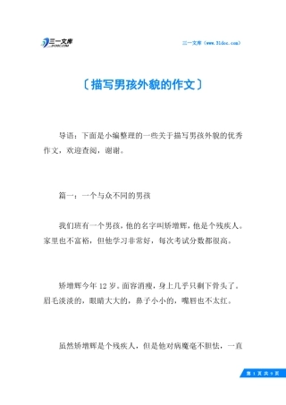 描写男孩外貌的作文