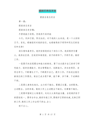 提拔后表态发言