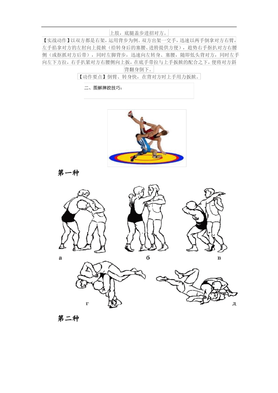摔跤技巧和图解_第2页