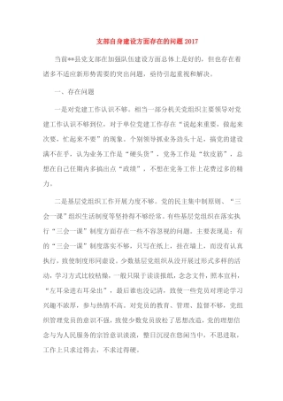 支部自身建设方面存在的问题2017