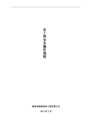 政工程各工种安全操作规程