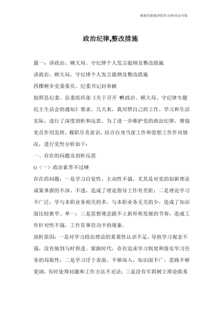 政治纪律,整改措施