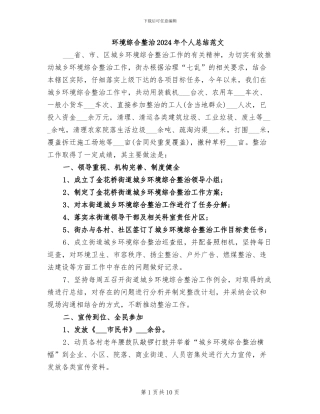 环境综合整治2024年个人总结范文