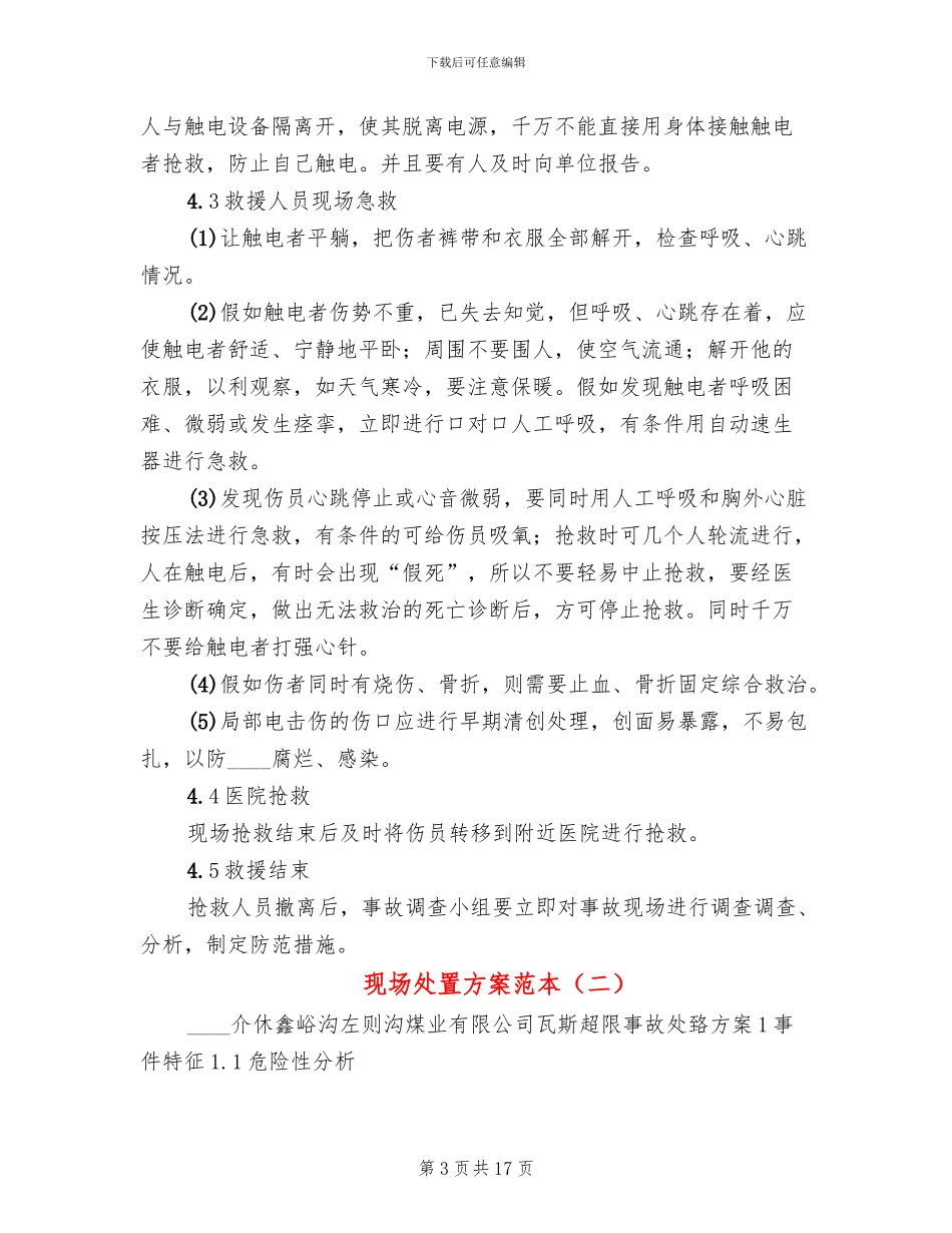 现场处置方案范本_第3页