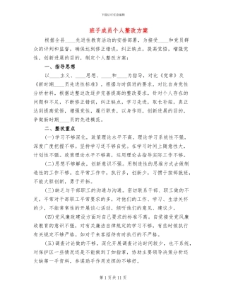 班子成员个人整改方案