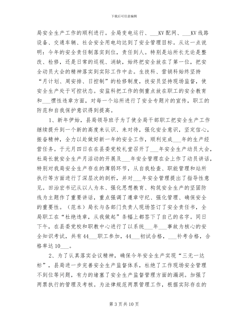 电力局2024年工作总结_第3页