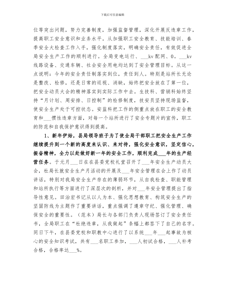 电力局2024年上半年工作总结_第2页