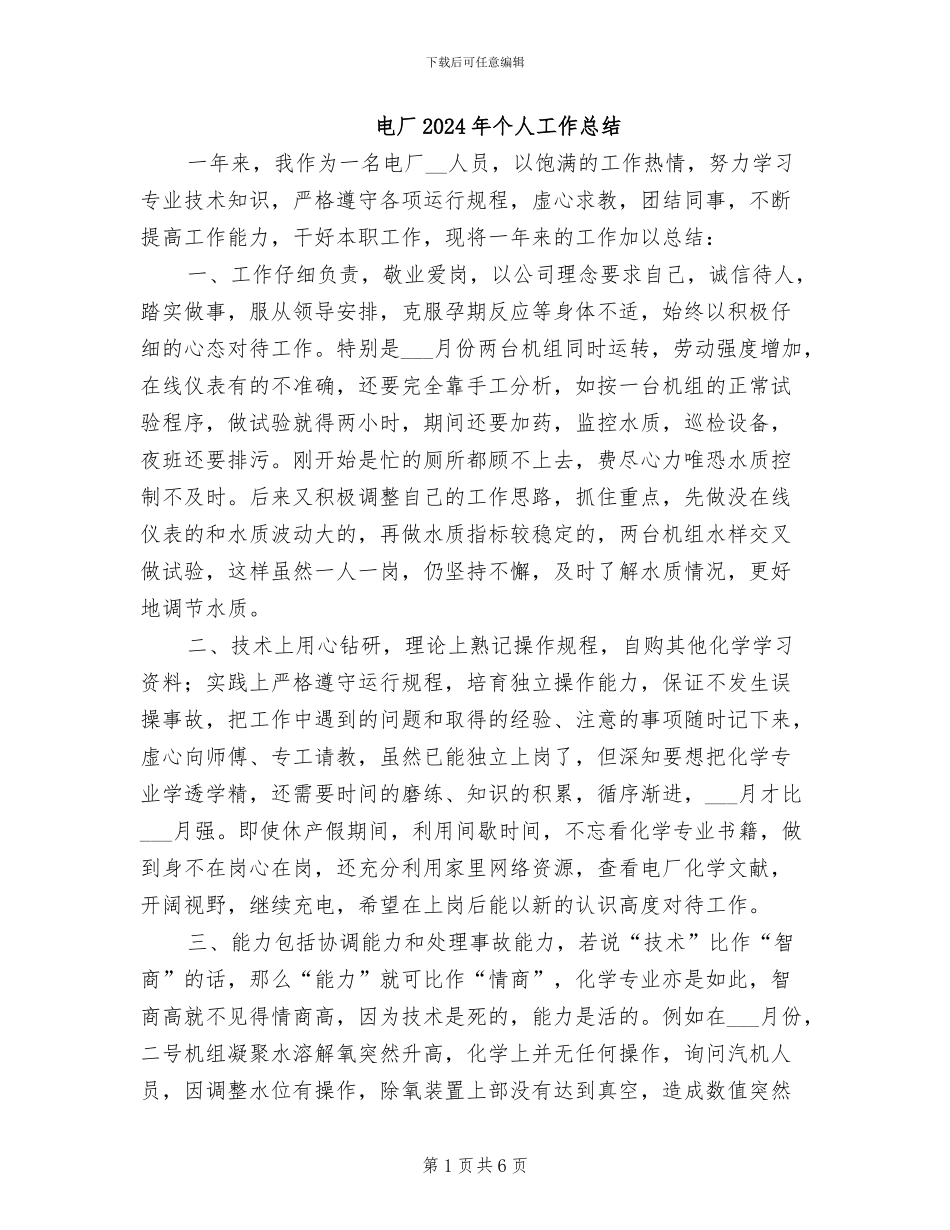 电厂2024年个人工作总结_第1页
