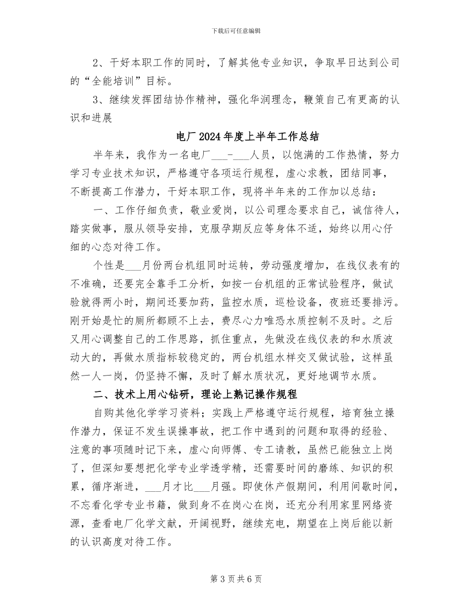 电厂2024年个人工作总结_第3页