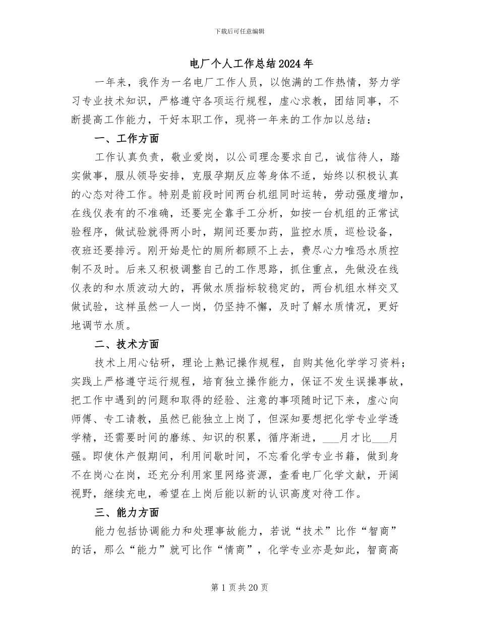 电厂个人工作总结2024年_第1页