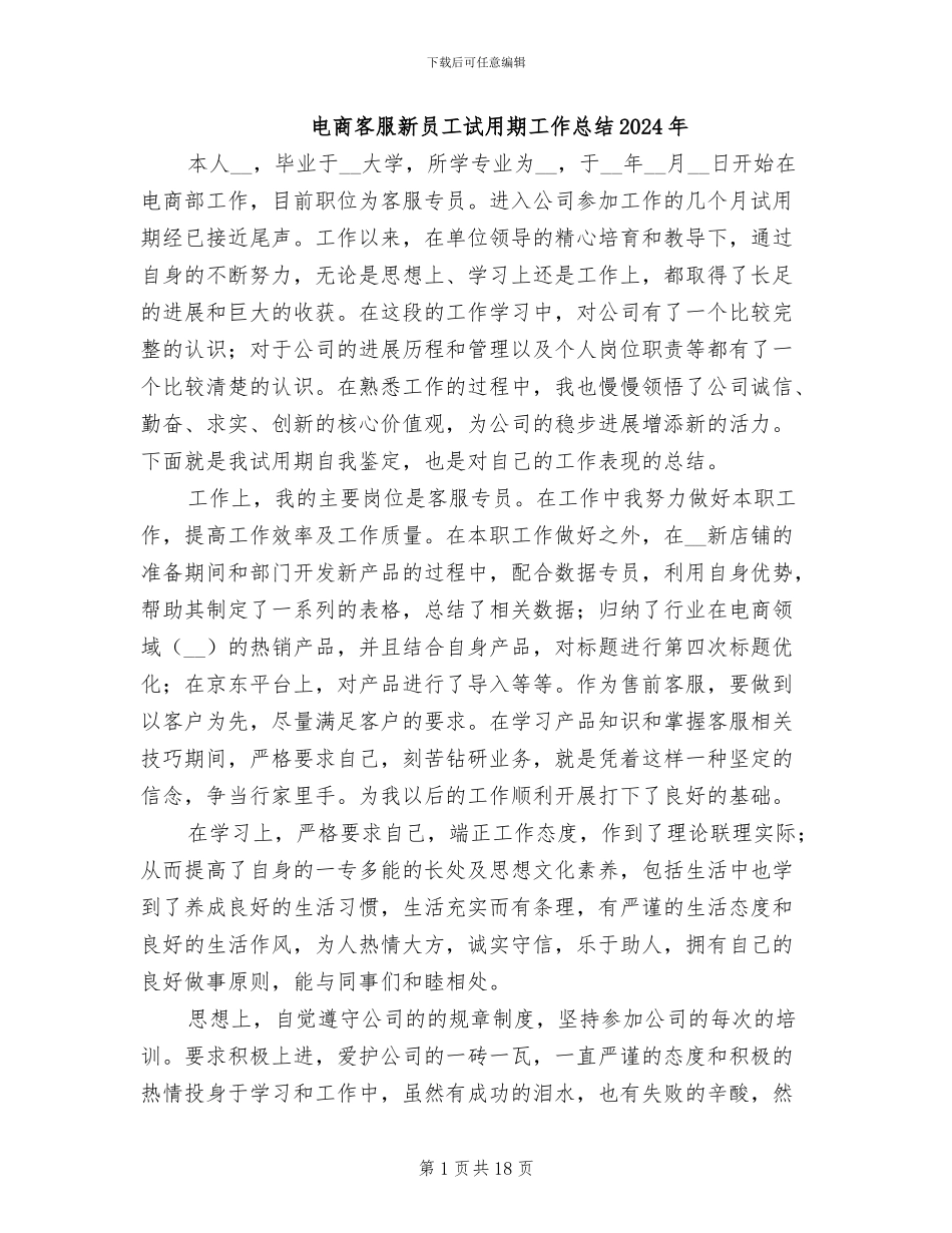 电商客服新员工试用期工作总结2024年_第1页