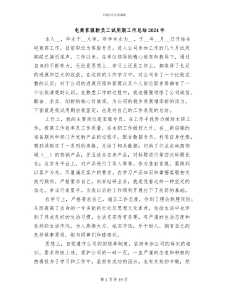 电商客服新员工试用期工作总结2024年