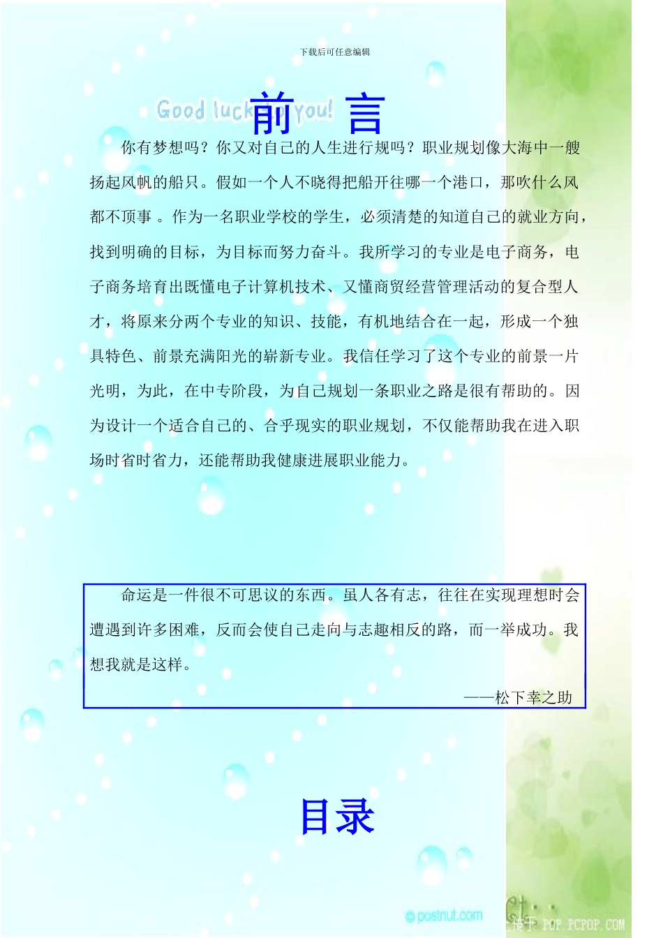 电子商务专业 职业生涯规划（13页 字数3800）_第2页