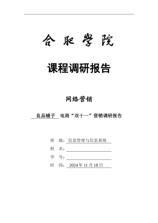 电商“双十一”营销调研报告