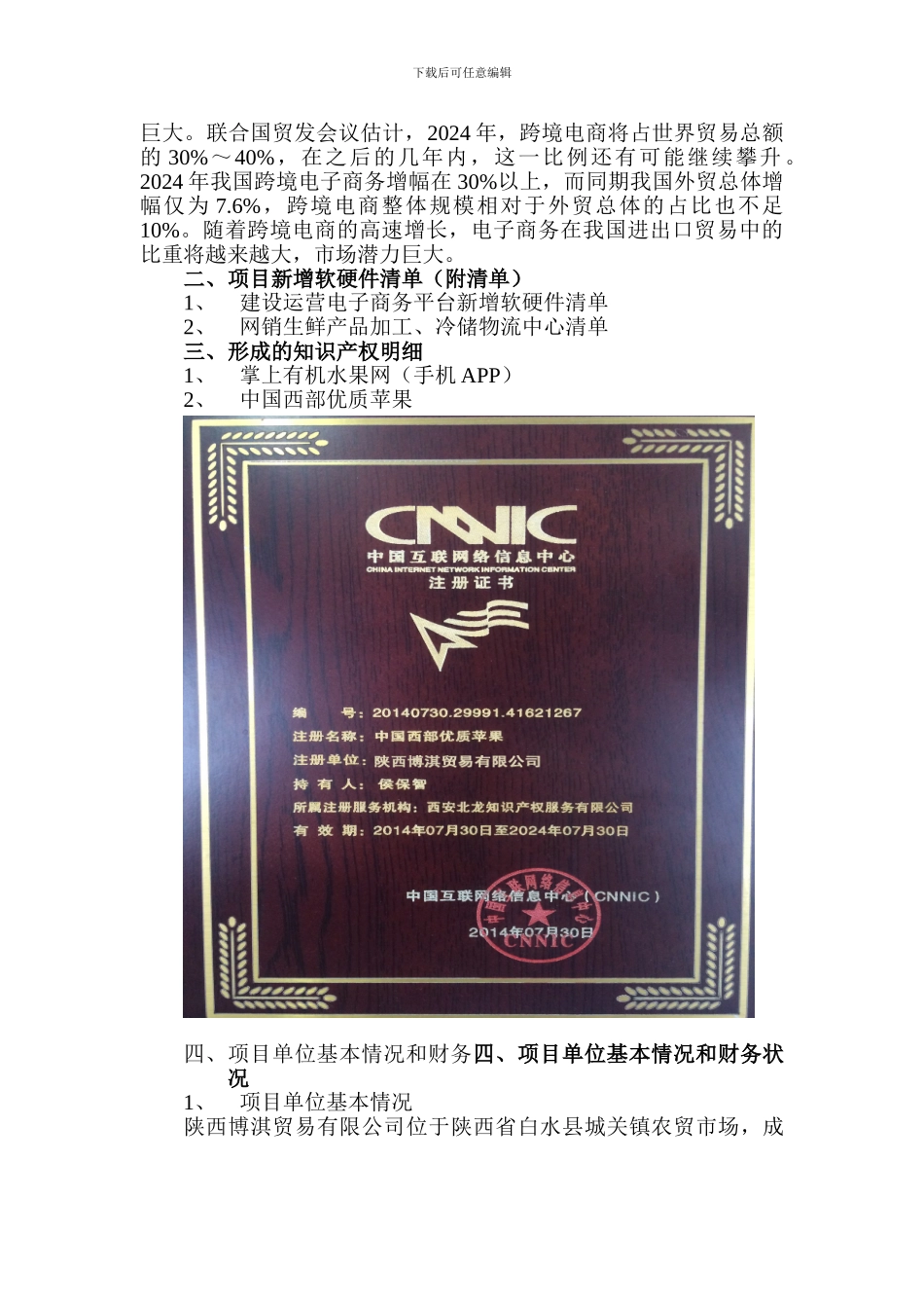 电子商务平台建设可研报告_第3页