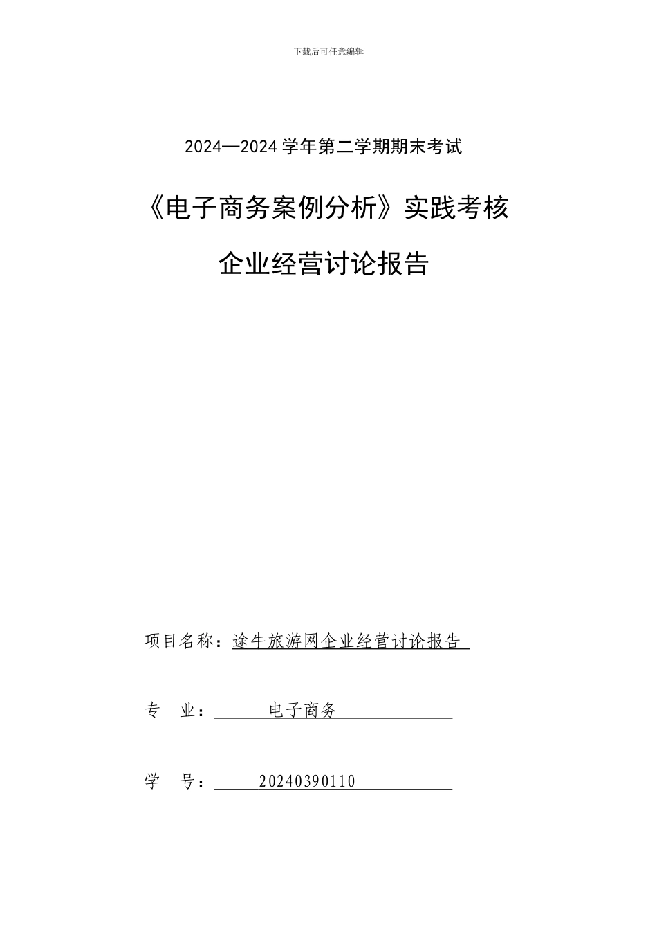 电子商务案例分析报告书_第1页