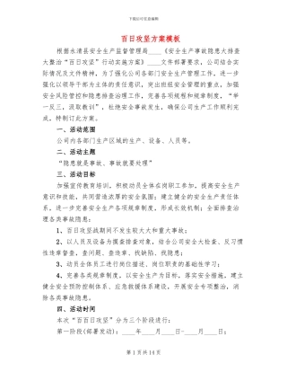 百日攻坚方案模板