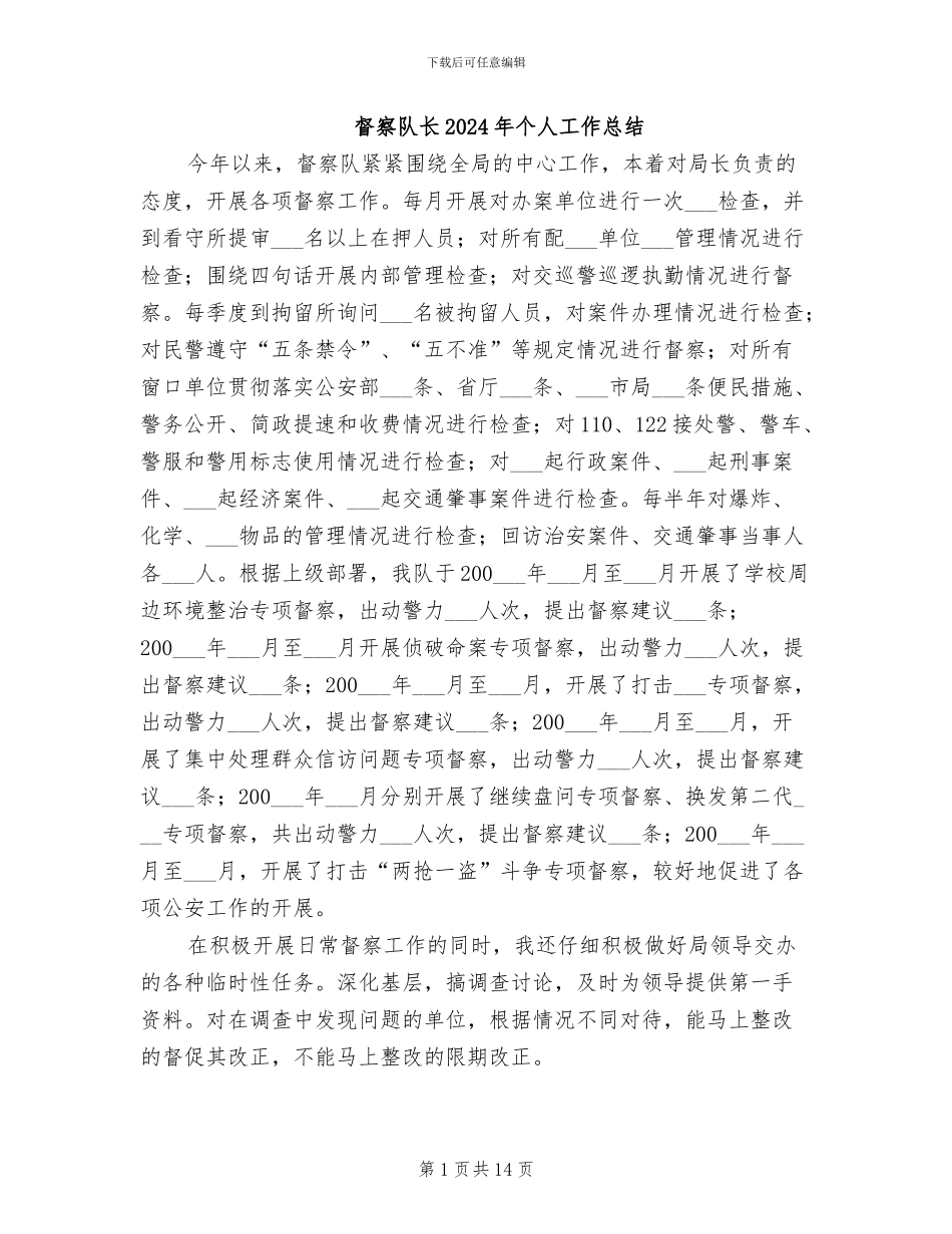 督察队长2024年个人工作总结_第1页