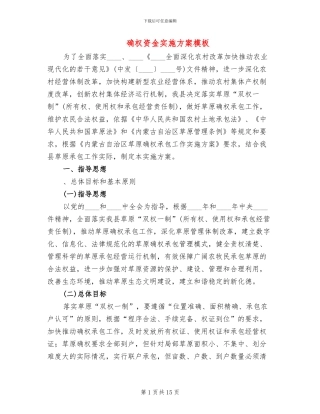 确权资金实施方案模板(2篇)