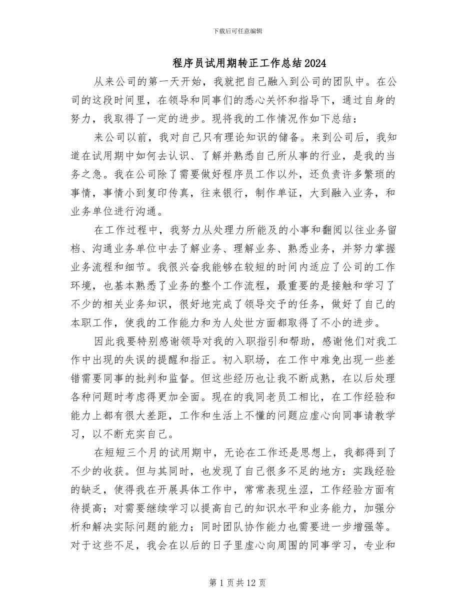 程序员试用期转正工作总结2024_第1页