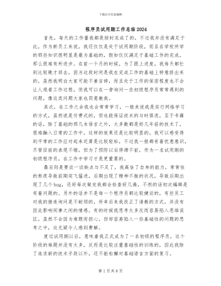 程序员试用期工作总结2024