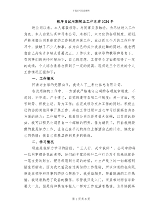 程序员试用期转正工作总结2024年